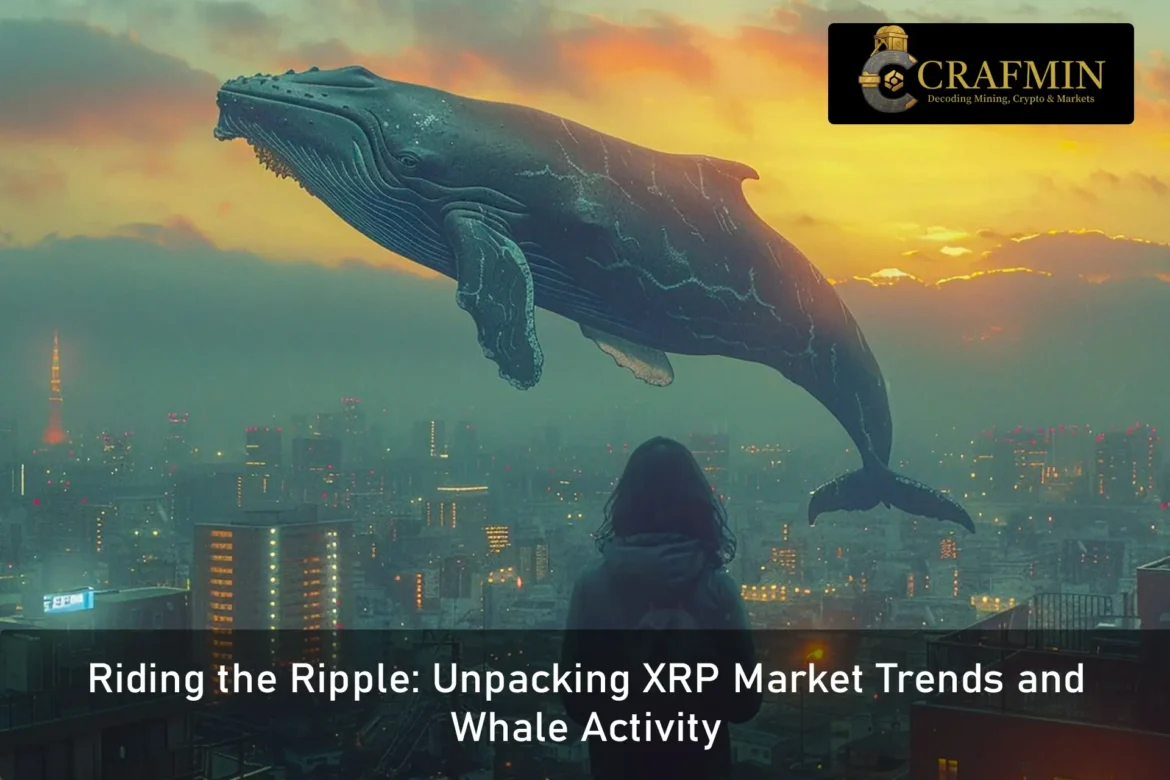 Riding the Ripple Unpacking XRP Market Trends and Whale Activity