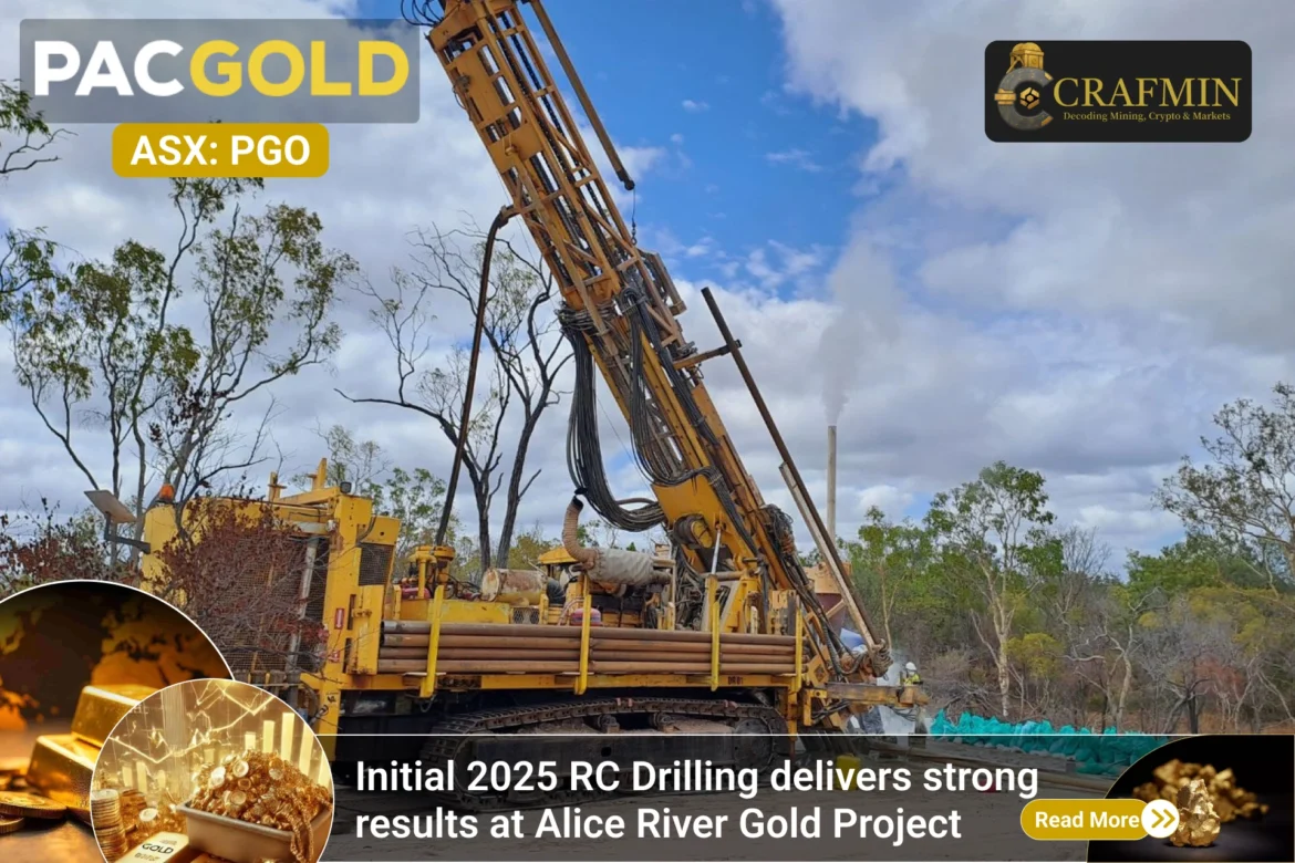 pacgold-hits-high-grade-gold-alice-river-exploration