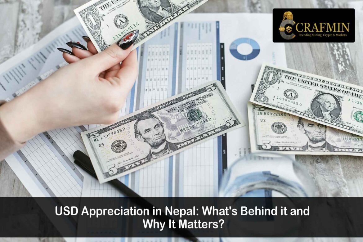 USD Appreciation in Nepal – Latest NRB Forex Insights