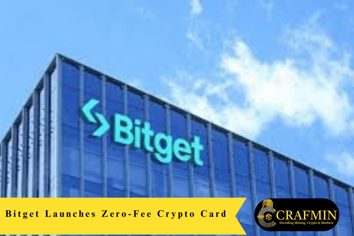 Disney Dream Crew Pulls Off Daring Rescue After Father and Child Fall Overboard