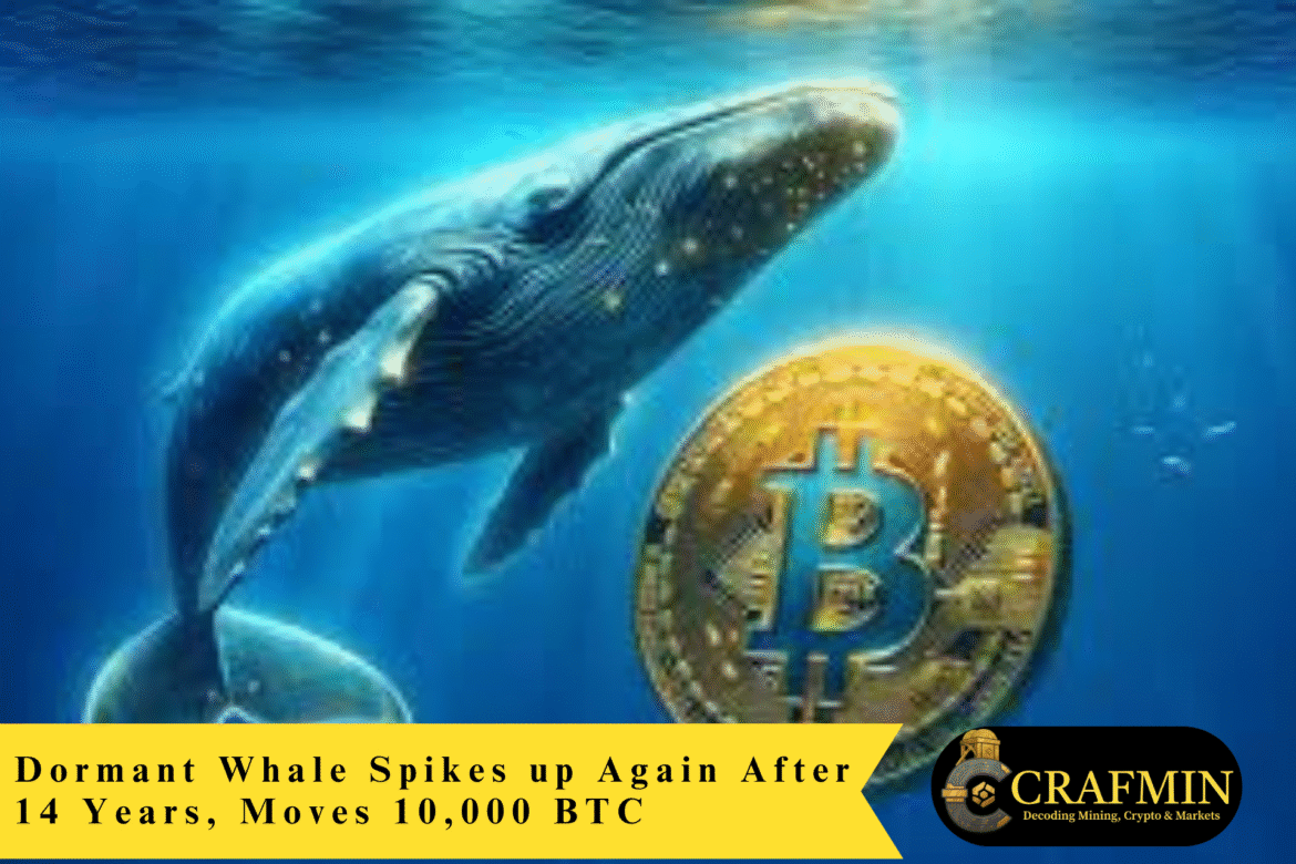 Dormant Whale Spikes up Again After 14 Years, Moves 10,000 BTC