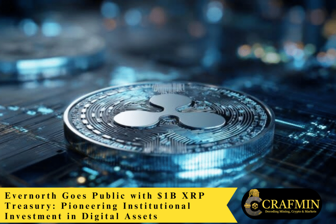 $70 Million Dormant Opal Cards to Be Claimed by NSW Government (11)