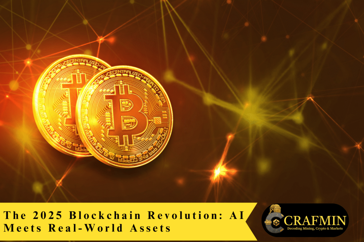 $70 Million Dormant Opal Cards to Be Claimed by NSW Government (9)