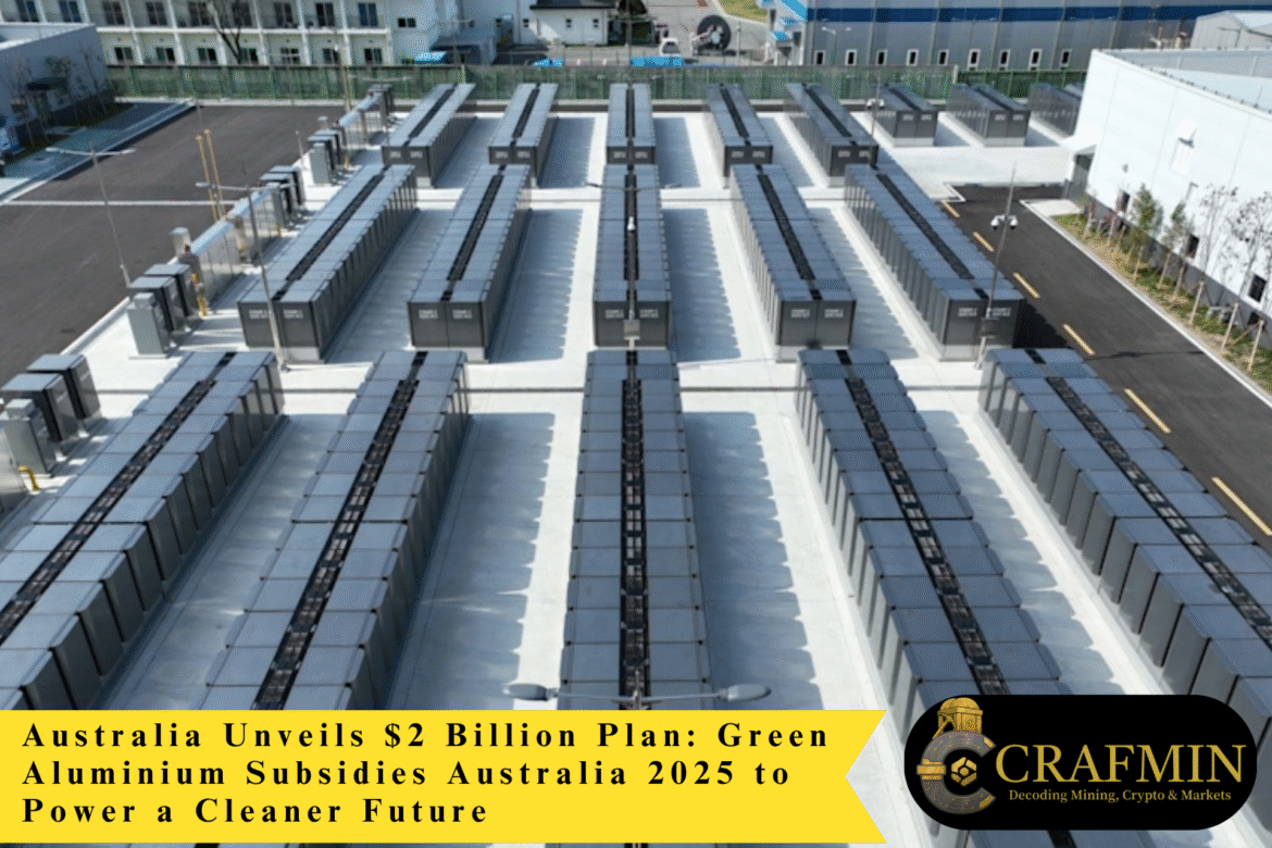 Victorian Premier Criticism Protests Mount As Jacinta Allan Faces Political Heat (1)