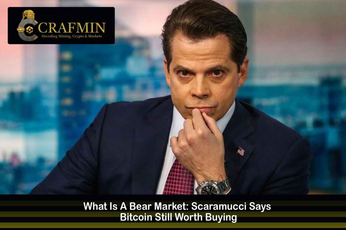 What Is A Bear Market: Scaramucci Says Bitcoin Still Worth Buying
