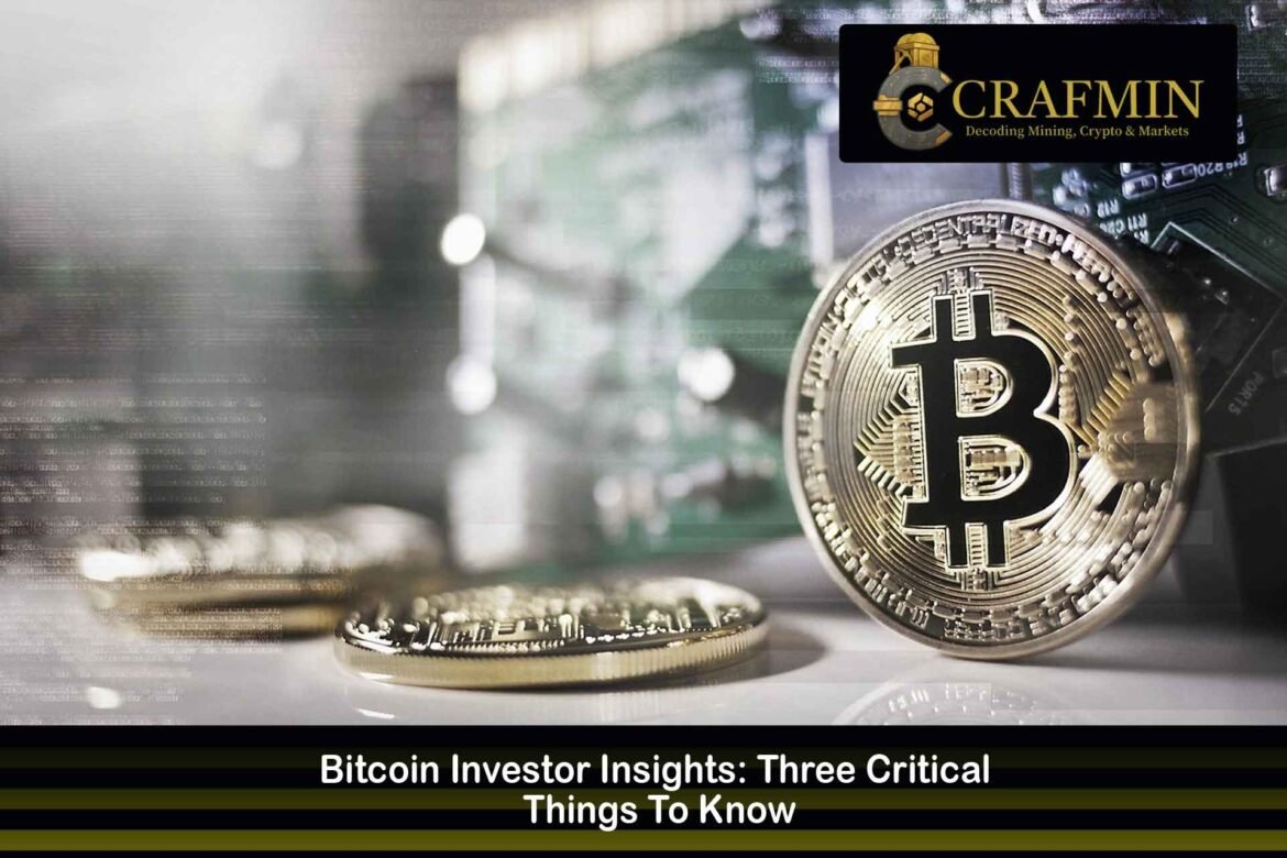 Bitcoin Insights Every Investor Must Know